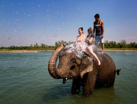 Chitwan National Park